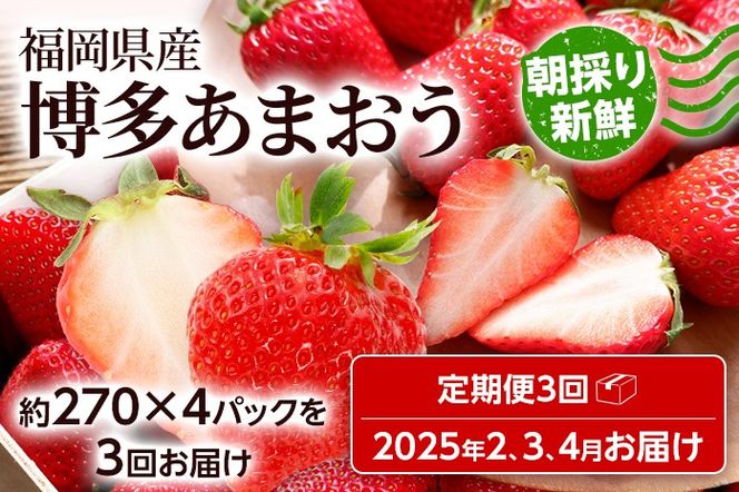 【全3回定期便】農家直送 朝採り新鮮いちご【博多あまおう】約270g×4パック 福岡県産 苺 イチゴ 朝採れ 冷蔵 スイーツ ジュース ギフト プレゼント お取り寄せ 福岡 お土産 九州 福岡土産 取り寄せ グルメ 福岡県 ※北海道・沖縄・離島は配送不可