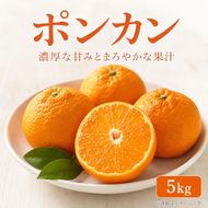 紀州和歌山有田産ポンカン 5kg