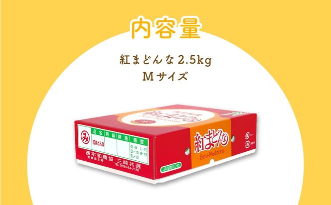 【先行予約】【贈答用】紅まどんな（2.5kg/Mサイズ）※離島への配送不可（2026年12月上旬より順次発送予定） IKTBD003
