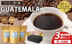 【6カ月定期便】コーヒー 豆 粉（グアテマラ 中煎り 中細挽き）100g × 3個セット | ミディアムロースト ギフトBOX付き コーヒー 珈琲 自家焙煎 ひなた珈琲 幸田町 送料無料