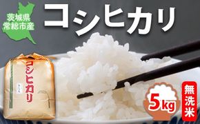 【令和7年産】【無洗米】コシヒカリ5kg 茨城県常総市産 精米｜米 お米 白米 ご飯 コメ こめ こしひかり