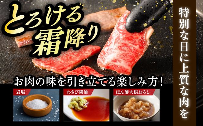 【スピード発送】博多和牛 A5,4等級 上カルビ焼肉 500g《築上町》【久田精肉店】 焼肉 カルビ 国産 人気 おすすめ[ABCL181]