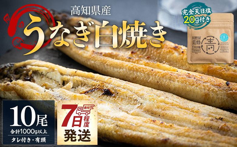 うなぎ 国産 高知県産 白焼き 10尾(100〜110g×10尾) 合計1kg以上 [7日程度で発送] 田野町完全天日塩 20g付き 黒箱 yw-0087
