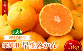 【先行予約】【家庭用】早生みかん 5kg ※離島への配送不可 （2026年11月10日より順次発送） IKTA040