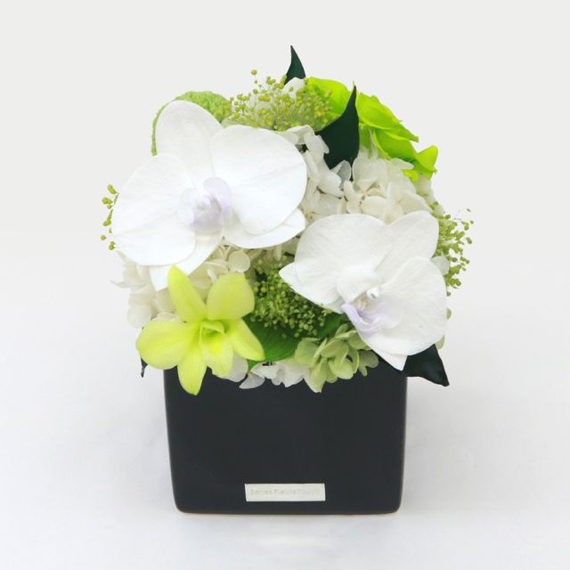 胡蝶蘭キューブM 花 お花 プリザーブドフラワー ギフト プレゼント お祝い 誕生日 お供え アレンジ インテリア 東京都 墨田区