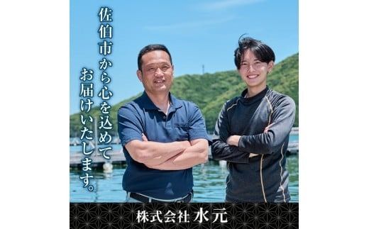 佐伯産 天然真鯛 刺身用ブロック (計1kg) 魚 刺身 お刺身 鯛 タイ たい 真鯛 マダイ 鮮魚 海鮮 魚介 小分け カルパッチョ 塩焼き フライ 冷凍 国産 大分県産 おかず おつまみ 【GO016】【水元】