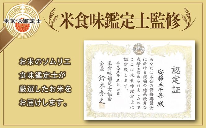  令和7年産 ひとめぼれ 10kg ( 5kg × 2袋 )  精米  米  お米マイスター 食味鑑定士 福島県 田村市 安藤米穀店