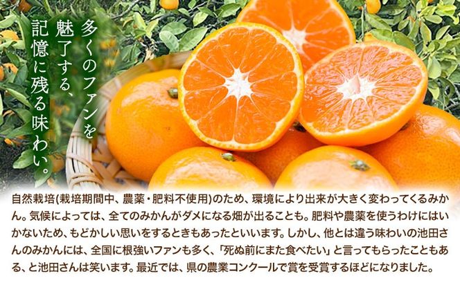 池田農園のみかんジュース 2本 または 3本 1本500ml 池田農園《30日以内に出荷予定(土日祝除く)》熊本県 玉名郡 玉東町 みかんジュース みかん ミカン ジュース 自然栽培 栽培期間中農薬・肥料不使用---gkt_ikd_2_2h---