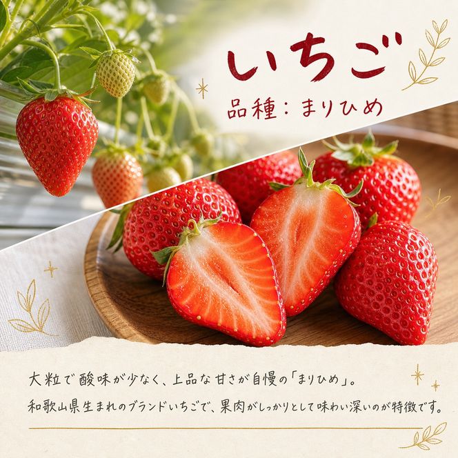 【2・7・9月 全3回】紀州和歌山産旬のフルーツセット（いちご・桃・ピオーネ）【UT95】 303446_XF91152
