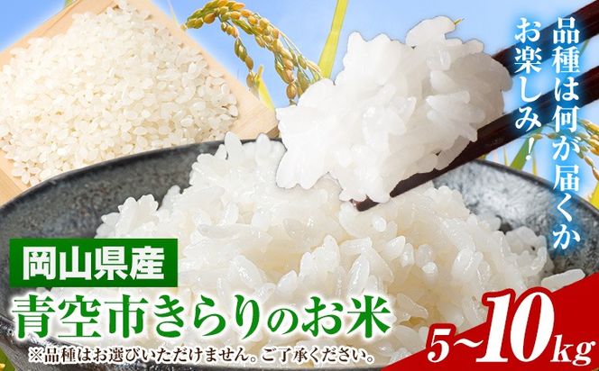 令和7年産 青空市きらりの 選べる内容量 5kg 10kg 岡山県産 (品種はお選びいただけません) 青空市きらり《30日以内に発送予定(土日祝除く)》岡山県 矢掛町 白米 精米 米 コメ---osy_akak_30d_25_17000_5kg---