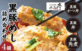 【かごしま黒豚 六白亭】黒豚めし詰合せ 4個　K163-003