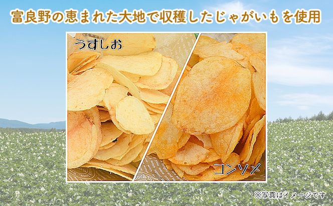 【4ヵ月連続お届け】JAふらのポテトチップス【ふらのっち】24袋入り×4種類 ふらの農業協同組合(南富良野町) 芋 菓子 スナック じゃがいも お菓子 ポテチ 定期便 詰合せ コンソメ うすしお のり塩 ガーリック 