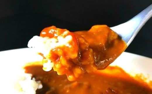 紀の国仕立て カレー （ビーフ） 6食 中辛 1人前200g (A1193-1) 