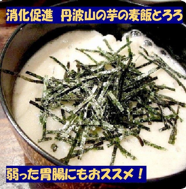 【芋家なか吉】丹波山の芋 わけあり 3キロ 11月収穫のとれたての新芋［ 京都 山の芋専門店 職人 とろろ 芋 いも イモ 野菜 3kg 不揃い 事業者応援品 応援 人気 おすすめ お取り寄せ 通販 送料無料 ふるさと納税 ］ 261009_B-SG08