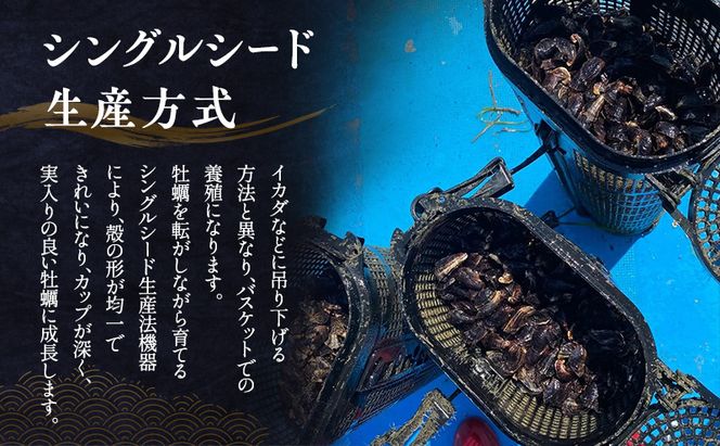 【 小豆島 】小豆島産 シマビト牡蠣　生食用殻付き牡蠣　20個　2026年1月8日以降発送 牡蠣 カキ 生牡蠣 生食用 殻付き 