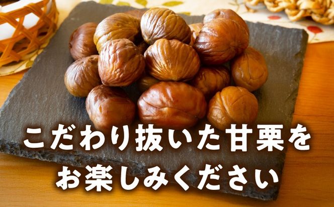 099H2329 当店自慢の天津甘栗 1.2kg【小分け 400g×3P お菓子 おつまみ 人気 甘味料不使用】