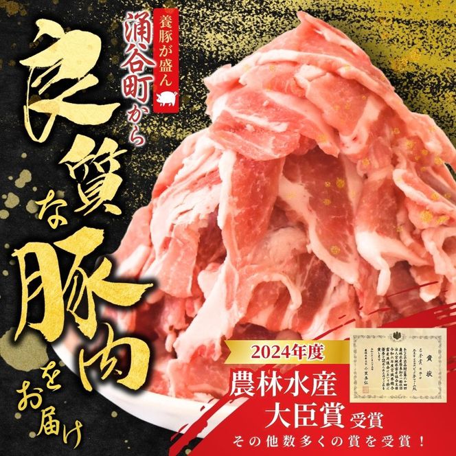 豚肉 涌谷町産 宮城野ポーク 豚切り落とし 500g~2kg 豚肉 焼肉 BBQ 冷しゃぶ サラダ 国産豚 冷凍 小分け 細切れ こま切れ 小間切れ 切り落とし 豚 ぶた 肉 生活応援 宮城県 東北 10000円 送料無料【sari007-008-009】