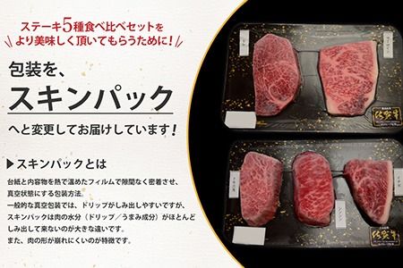 佐賀牛 ステーキ5種食べ比べセット 500g （100g×5枚） A5 A4 サーロイン ヒレ 希少部位【希少 国産和牛 牛肉 肉 牛 ステーキ】(H085194)