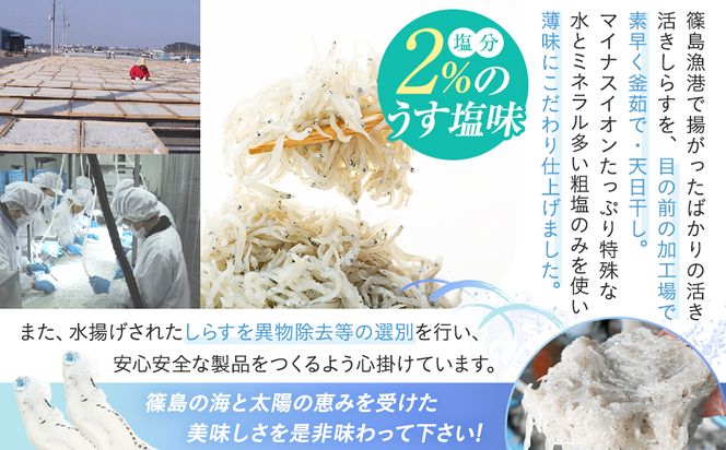 篠島産しらす干し1kg
