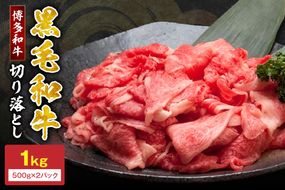 黒毛和牛 (博多和牛) 赤身 切り落とし1kg（500g×2パック）【伊豆丸商店】_HA0726