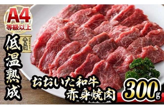 y啪sza Ԑg ē (300g) Y   ~ ቷn   A4 a uh BBQ Ⓚ 啪 syDH240zy()lNTz