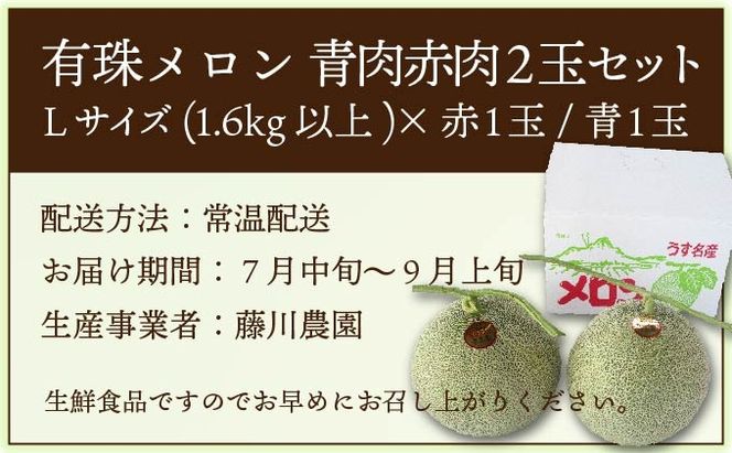 ＜2026年先行予約＞北海道産 有珠メロン 2玉 セット 赤肉 青肉 Lサイズ 1.6kg以上 各1玉 食べ比べ ツル付き 果物 めろん フルーツ くだもの 完熟 旬 ご褒美 ギフト お祝い 産地直送 お取り寄せ 北海道 藤川農園 送料無料 伊達