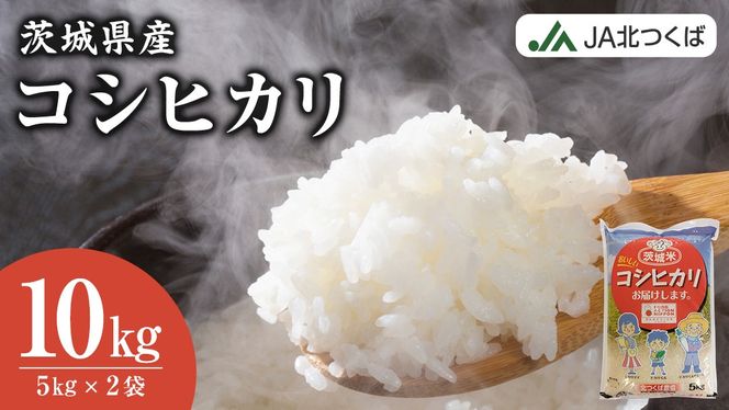 【 JA 北つくば 】 茨城県産 コシヒカリ 10kg 令和6年産 農協 米 お米 白米 コメ こしひかり 茨城県 精米 新生活 応援 [AE027ci]