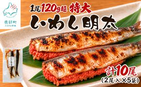 【北海道産】 いわし明太 10尾(2尾入×5袋) マイワシ 小分け ご飯のお供
