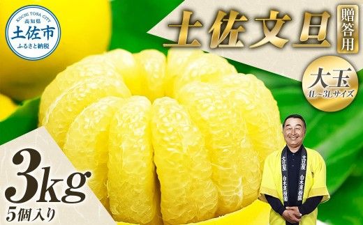 【先行予約】【果樹園直送】土佐文旦 特選品贈答用 約3kg 3L～4Lサイズ 5個入り 〈2027年2月中旬～3月下旬頃発送〉大玉 ぶんたん ブンタン フルーツ 柑橘 みかん 果物 くだもの 柑橘類 デザート おやつ 贈り物 プレゼント 【白木果樹園】 [BQAI002]