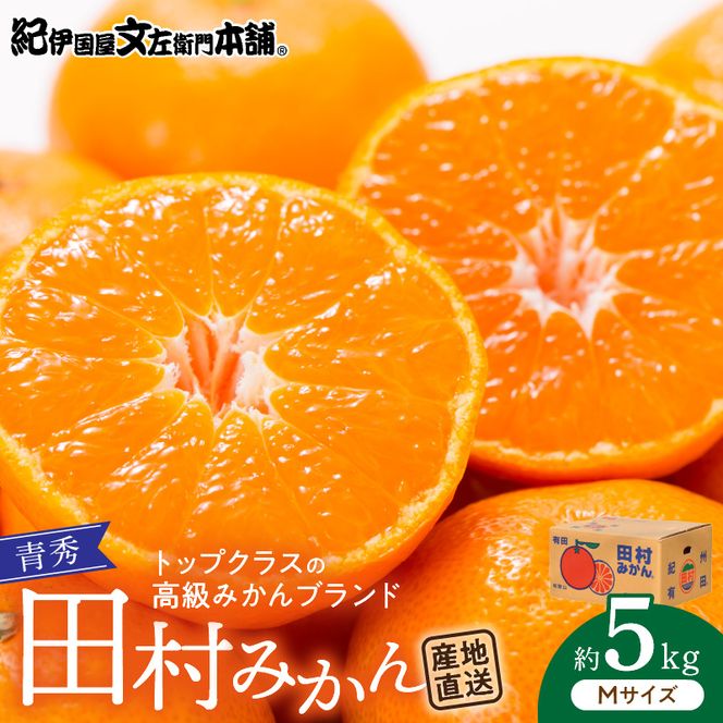 V7448_【2026年先行予約】田村みかん／5kg青秀【Mサイズ】