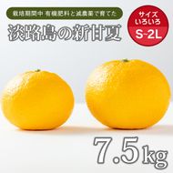 片山農園の淡路島産新甘夏7.5kg【サイズいろいろS～2Lサイズ】甘夏