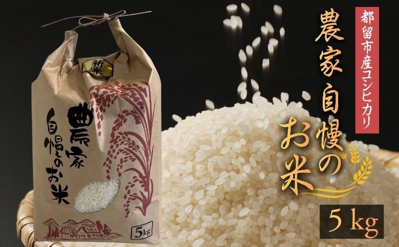 令和7年産 都留市産コシヒカリ(5kg)KD001|米 新米 こしひかり お米