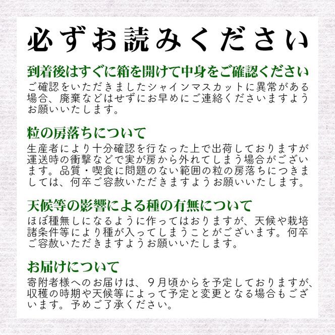 【先行予約】磐梯町産 シャインマスカット 約1.5kg（2房～3房）　※2026年9月～10月発送予定