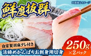 活締め かんぱち お刺身用 切身 250g×2パック / 刺身 海鮮 カンパチ 魚 / 糸島市 / 塚本鮮魚店[ARO011]