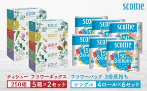 【スコッティ】ティシュー フラワーボックス 250組（5箱パック×2セット）＋フラワーパック 3倍長持ち（4ロール(シングル)パック×6セット）ティッシュ トイレットペーパー 日用品