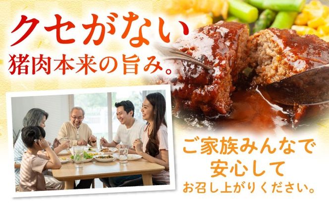 猪肉 ミンチ 3kg 雲仙いのしし / ひき肉 肉 イノシシ ジビエ いのしし ハンバーグ / 南島原市 / 株式会社高田牧場[SDB014]