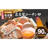 【3ヶ月定期便】名古屋コーチン卵(30個入り)×3回（計90個） [006K01-T]