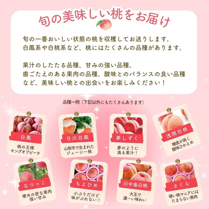【来年2027年出荷分 先行予約】朝もぎ直送!『山梨県産　桃』約5～8玉 約2kg規格箱入り 白鳳 白桃 【高機能共選機使用】選び抜かれた桃《もも 先行予約》 山梨県産 モモ/ フルーツ 果物 くだもの 甘い 人気 産地直送/厳選  贈答 贈り物【tab0182】