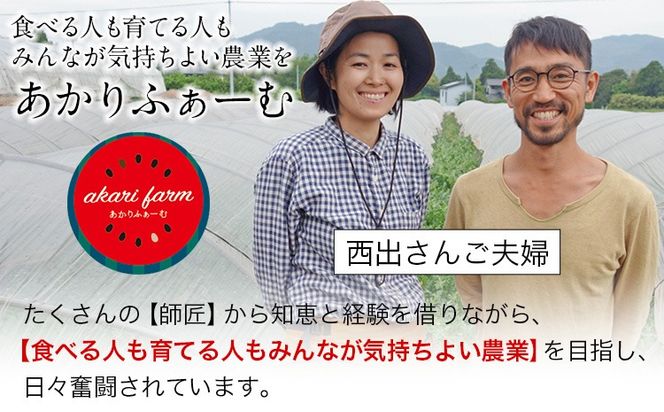 『あかりふぁーむ』の小玉スイカ2玉セット1玉約2～3kg熊本県玉名郡玉東町『あかりふぁーむ』すいか フルーツ 果物 熊本県産《6月上旬-6月末頃出荷》---sg_akarikodama_ac6_25_16000_2i---