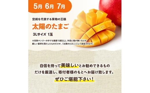 【3ヶ月定期便】選ばれし太陽のたまご定期便Vol.2【 川南町産 くだもの マンゴー 】[C11709t3]