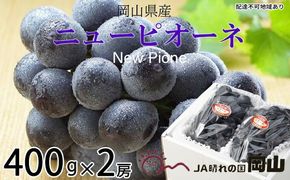 ぶどう 2026年 先行予約 ニュー ピオーネ 約400g×2房 6月下旬～7月下旬発送 ブドウ 葡萄 岡山県産 国産 フルーツ 果物 ギフト 果物類 種なし デザート 食後 おやつ 産地直送