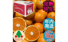 年内発送 ちょっと 傷あり 完熟早生 有田みかん M ～ SS サイズ 3kg 和歌山 南泰園 みかん BS656