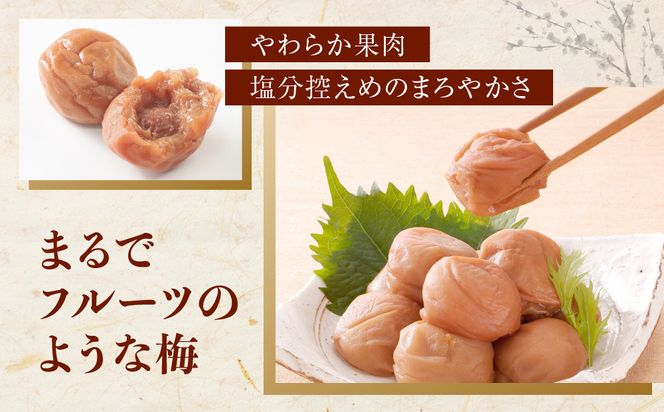 紀州南高梅 プレミアム 塩分約3％ 500g ［YM11］ 303446_DX90014