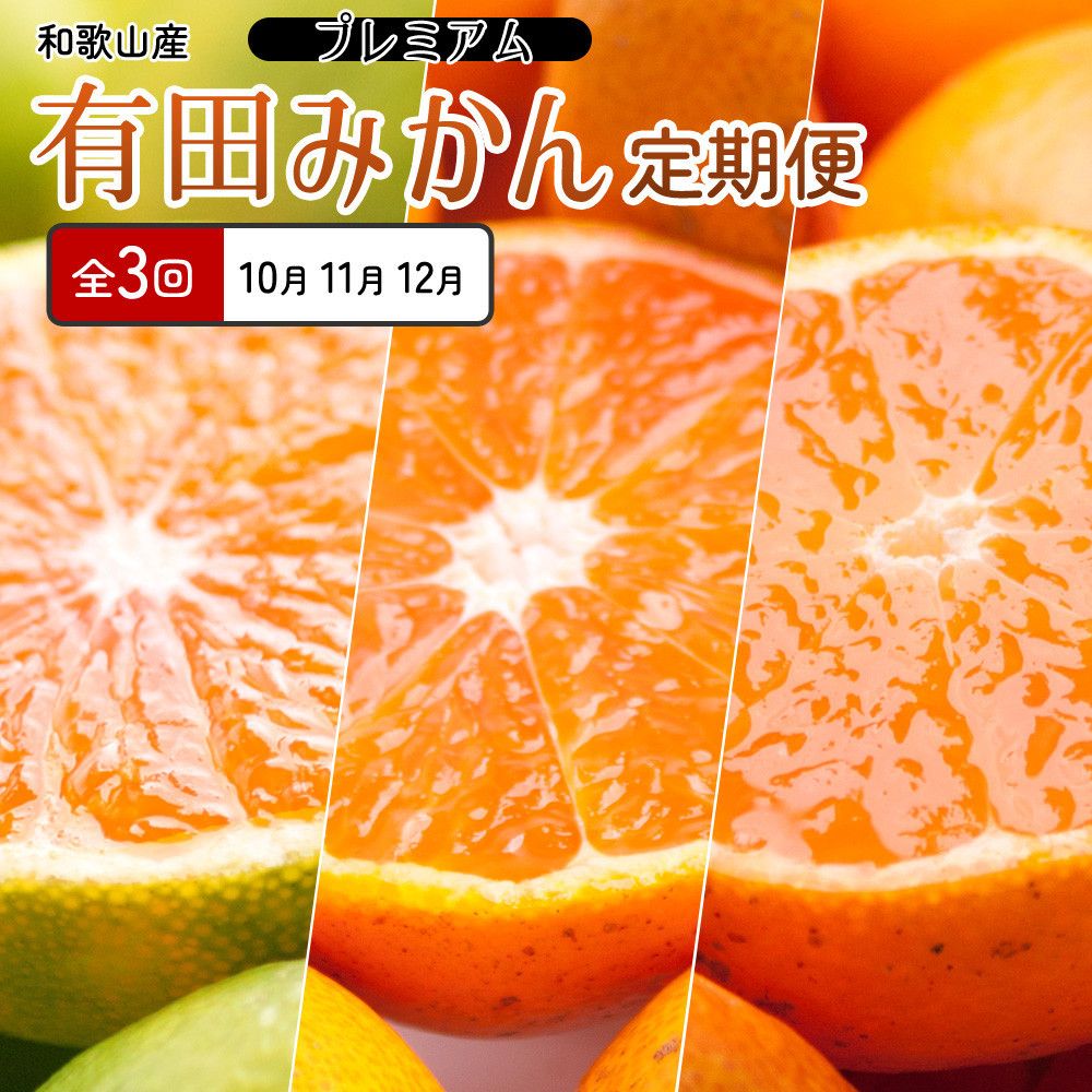 厳選 柑橘定期便SS(10〜12月)全3回[みかん定期便お試し版][IKE284] 303446_BB90193