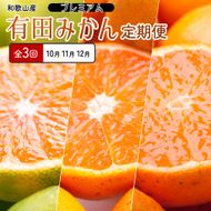 厳選 柑橘定期便SS（10～12月）全3回【みかん定期便お試し版】［IKE284］ 303446_BB90193