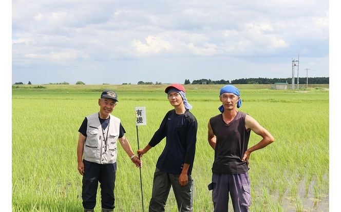 【新米予約】《 希少品種米 》 米 令和8年 宮城県産 ササシグレ ( 栽培期間中農薬・肥料不使用 ) 精米 白米 5kg ｜ 宮城県 加美町 無農薬 お米 こめ コメ ささしぐれ ササニシキ の 父 ｜ nt-ss05-r8 | nt-ss05-r8