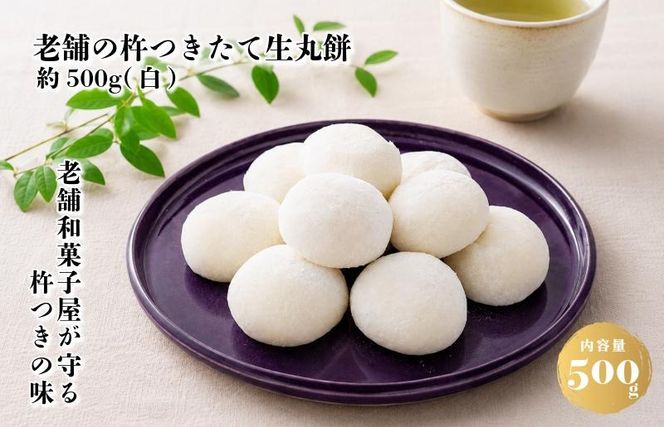 099H4619 【無添加】老舗職人の杵つき生丸餅（白）約500g 【小分け 50g×10個 解凍するだけで“つきたて”の粘りと香り】