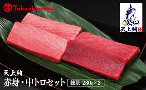 TTR0002 【高島屋選定品】天上鮪 満足セット 合計560g（赤身/中トロ）【刺身 海鮮丼 鮪 まぐろ マグロ 小分け】