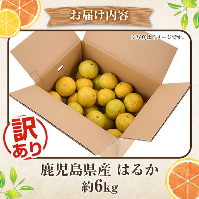 ＜先行予約受付中！2027年2月上旬以降順次発送予定＞訳ありはるか(約6kg) 国産 鹿児島県産 果物 フルーツ 柑橘 みかん はるか【松永青果】akn053-40