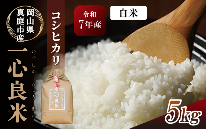 真庭市産コシヒカリ 米ぬか 牡蠣栽培米 『 一心良米 』 白米 5kg / お米 いっしんりょうまい 岡山県 こしひかり 人気 ブランド 令和7年産 2025年産 【tkns009-01-cho】